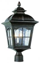 Trans Globe 5422 AR - Briarwood 3-Light Rustic, Chesapeake Embellished, Water Glass and Metal Framed Post Mount Lantern He