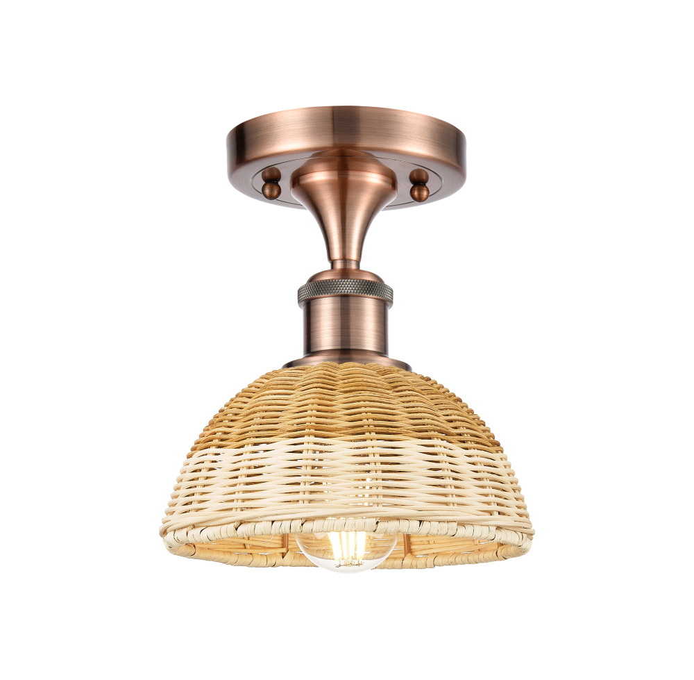 Bristol Natural II - 1 Light - 8 inch - Antique Brass - Semi-Flush Mount