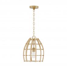 Capital 344111MA - 1 Light Pendant