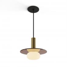 Koncept Inc CMP-S1-S-06-BRS+GTEA9+GLB - Combi Pendant 6" Single Unit Brass with Matte Black Canopy, 9" glass plate (Tea Brown) attac