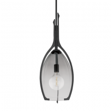 Troy F8313-FOR - Pacifica Pendant