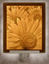 Porcelain Gardens N213 - FLAT NIGHT LIGHT