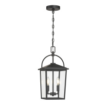 Millennium 66402-PBK - Strathden 9" Wide 2-Light Outdoor Hanging Lantern