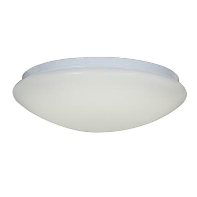 LED Flush Mount