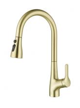 Elegant FAK-305BGD - Andrea Single Handle Pull Down Sprayer Kitchen Faucet in Brushed Gold