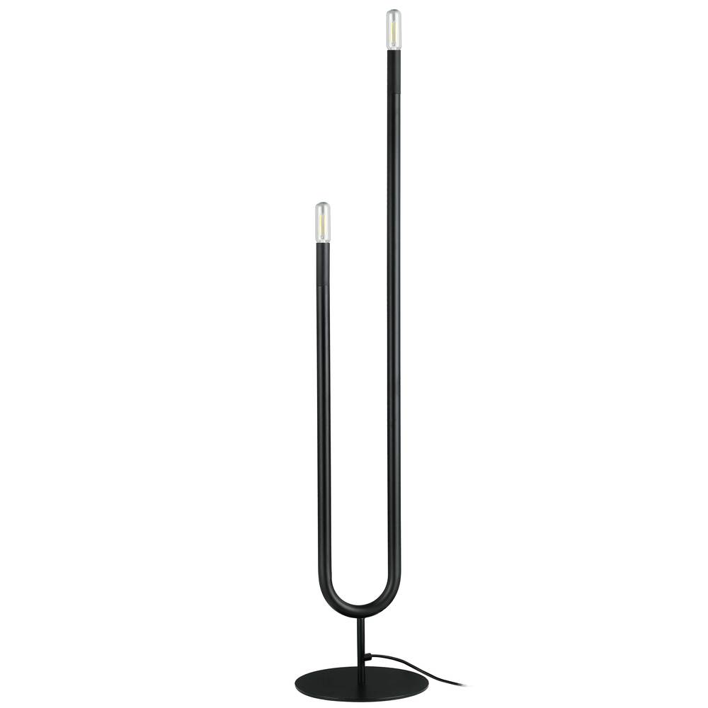 2 Light Incandescent Floor Lamp, Matte Black