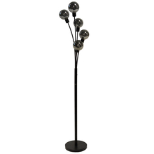 Dainolite 306F-BK - 5 Light Incandescent Floor Lamp Black Finish with Smoked Glass