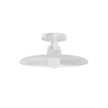 Dainolite QTN-121SF-MW - 1 Light Semi-Flush Mount, Matte White