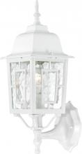Nuvo 60/4924 - Banyan - 1 Light 17" Wall Lantern with Clear Water Glass - White Finish