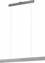 Page One Lighting PP120288-AG - Prometheus Linear Pendant, Single Light Pendant
